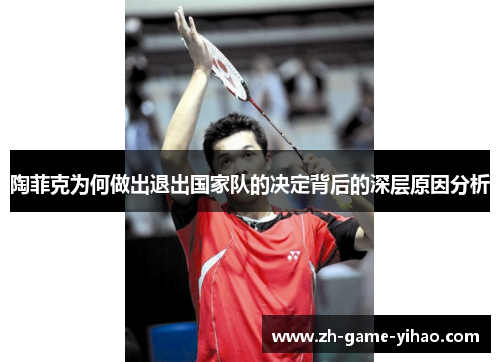 陶菲克为何做出退出国家队的决定背后的深层原因分析 陶菲克为何做出退出国家队的决定背后的深层原因分析