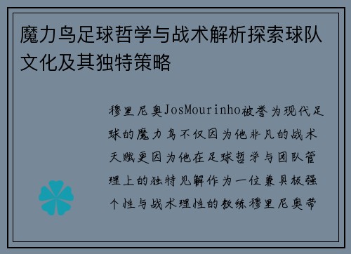魔力鸟足球哲学与战术解析探索球队文化及其独特策略